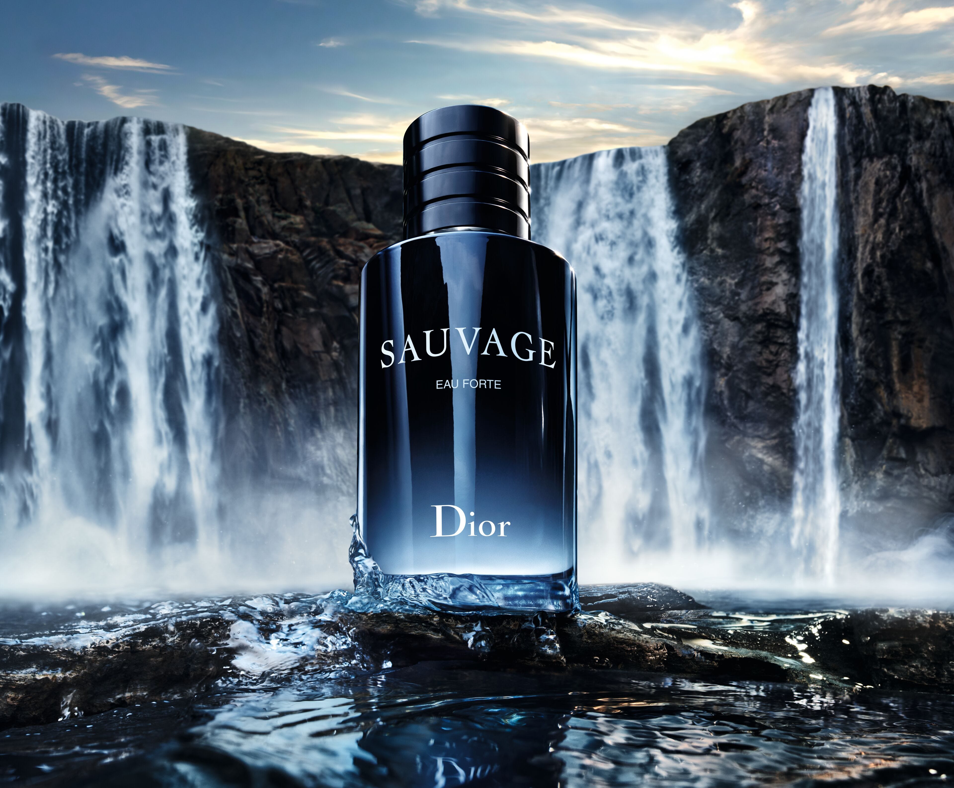 Dior Sauvage Eau de Parfum 100ml